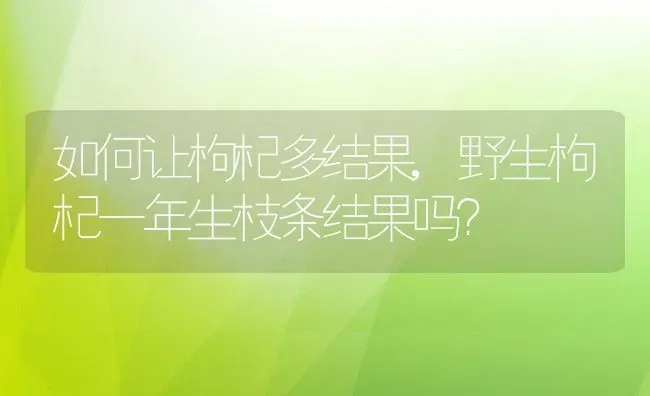如何让枸杞多结果,野生枸杞一年生枝条结果吗？ | 养殖科普