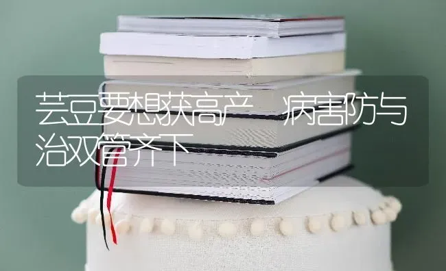 芸豆要想获高产 病害防与治双管齐下 | 养殖知识