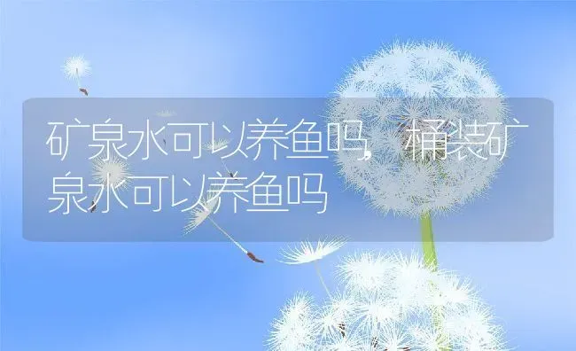 矿泉水可以养鱼吗,桶装矿泉水可以养鱼吗 | 养殖科普