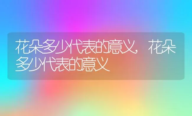 花朵多少代表的意义,花朵多少代表的意义 | 养殖科普