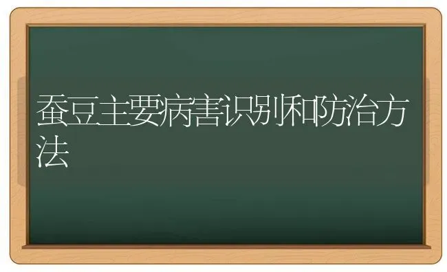 蚕豆主要病害识别和防治方法 | 养殖知识