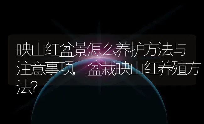 映山红盆景怎么养护方法与注意事项,盆栽映山红养殖方法？ | 养殖科普