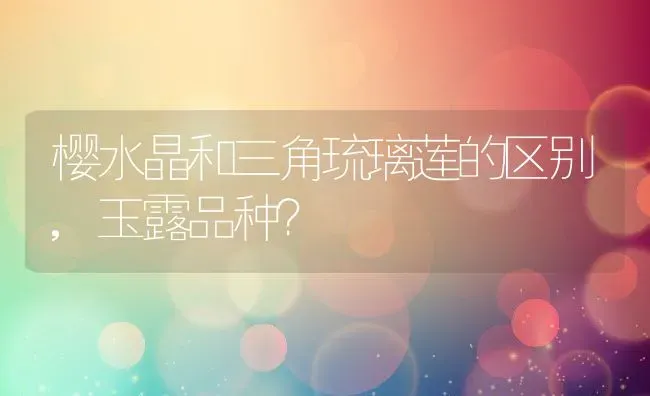 樱水晶和三角琉璃莲的区别,玉露品种？ | 养殖科普