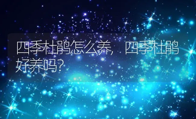 四季杜鹃怎么养,四季杜鹃好养吗？ | 养殖科普