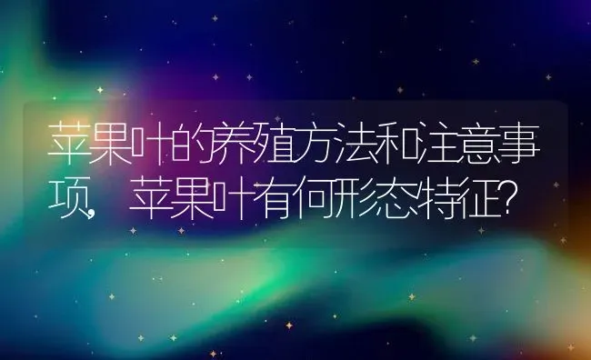 苹果叶的养殖方法和注意事项,苹果叶有何形态特征？ | 养殖科普