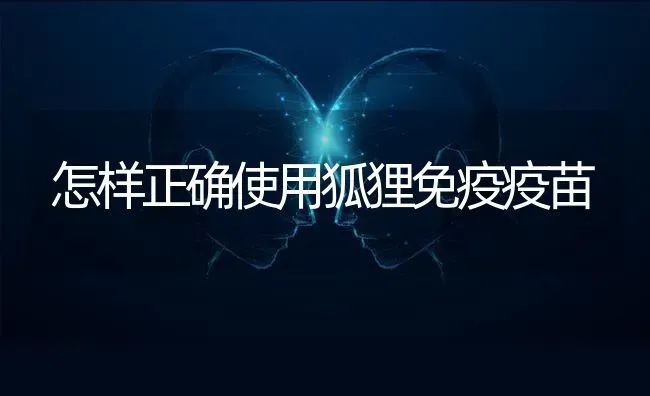 怎样正确使用狐狸免疫疫苗 | 养殖知识