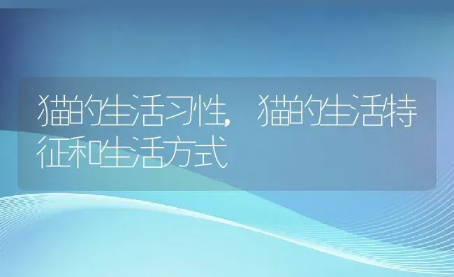 猫的生活习性,猫的生活特征和生活方式 | 养殖科普