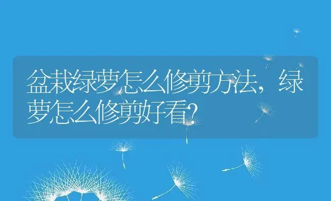 盆栽绿萝怎么修剪方法,绿萝怎么修剪好看？ | 养殖科普