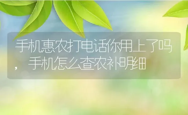 手机惠农打电话你用上了吗,手机怎么查农补明细 | 养殖学堂