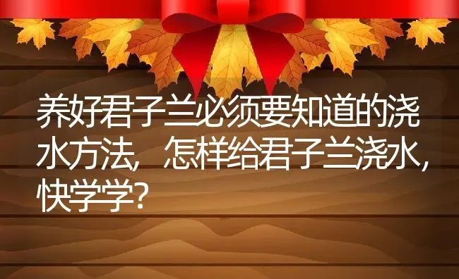 养好君子兰必须要知道的浇水方法,怎样给君子兰浇水，快学学？ | 养殖科普