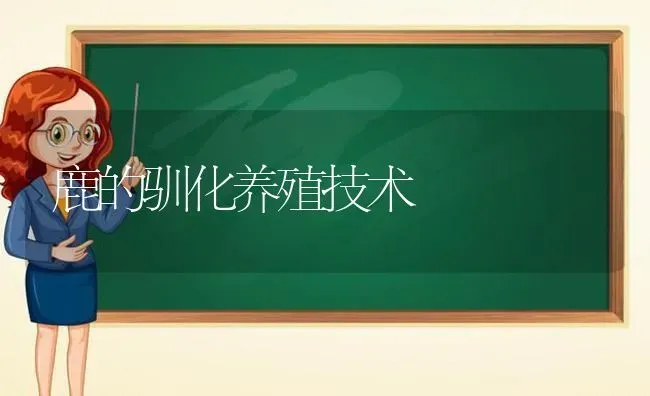 鹿的驯化养殖技术 | 养殖技术大全