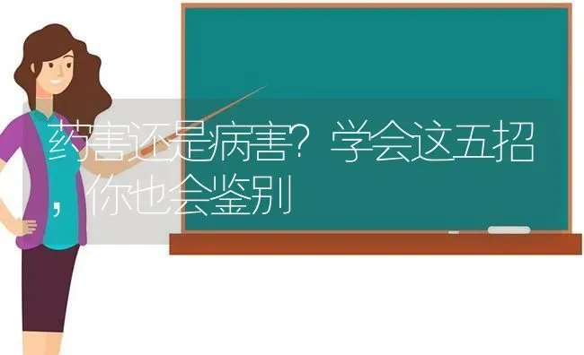 药害还是病害?学会这五招,你也会鉴别 | 养殖技术大全