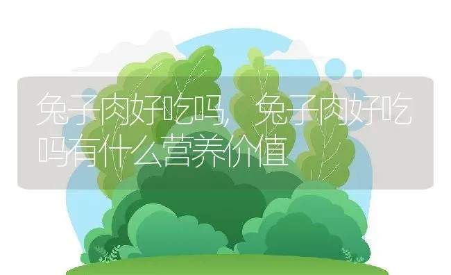 兔子肉好吃吗,兔子肉好吃吗有什么营养价值 | 养殖科普