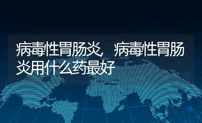 病毒性胃肠炎,病毒性胃肠炎用什么药最好 | 养殖科普
