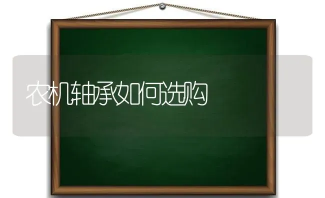 农机轴承如何选购 | 养殖知识