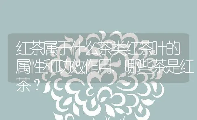 红茶属于什么茶类红茶叶的属性和功效作用,哪些茶是红茶？ | 养殖科普