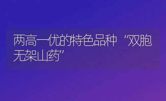 两高一优的特色品种“双胞无架山药” | 养殖技术大全