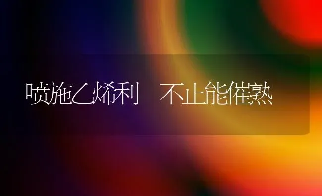 喷施乙烯利 不止能催熟 | 养殖技术大全