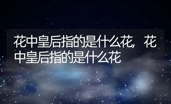 花中皇后指的是什么花,花中皇后指的是什么花 | 养殖科普