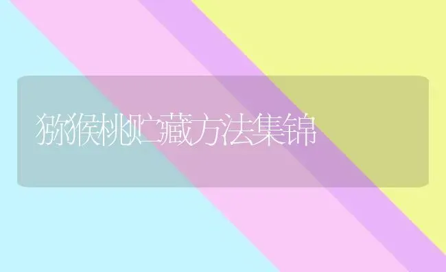猕猴桃贮藏方法集锦 | 养殖技术大全