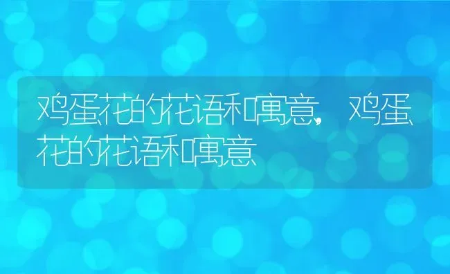 鸡蛋花的花语和寓意,鸡蛋花的花语和寓意 | 养殖科普