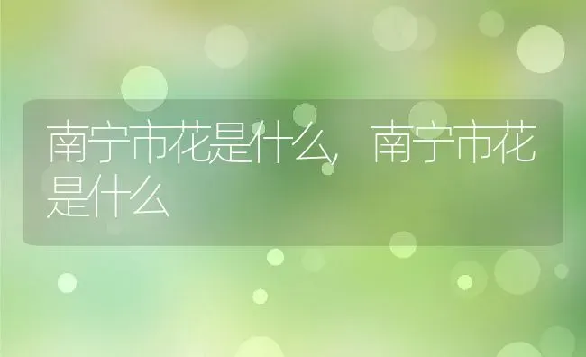 南宁市花是什么,南宁市花是什么 | 养殖科普