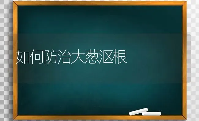 如何防治大葱沤根 | 养殖知识