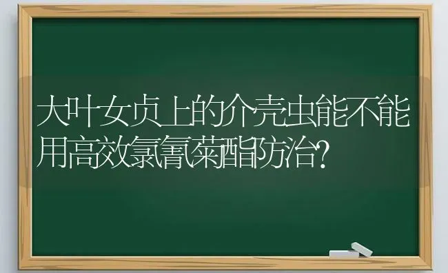 大叶女贞上的介壳虫能不能用高效氯氰菊酯防治? | 养殖知识