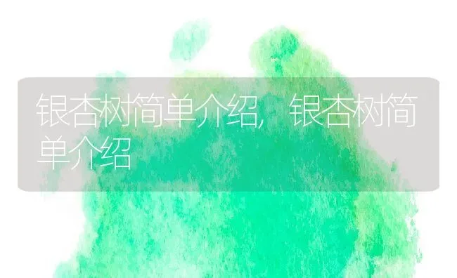 银杏树简单介绍,银杏树简单介绍 | 养殖科普