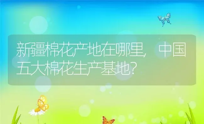 新疆棉花产地在哪里,中国五大棉花生产基地？ | 养殖科普