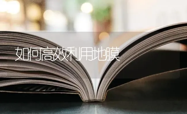 如何高效利用地膜 | 养殖知识