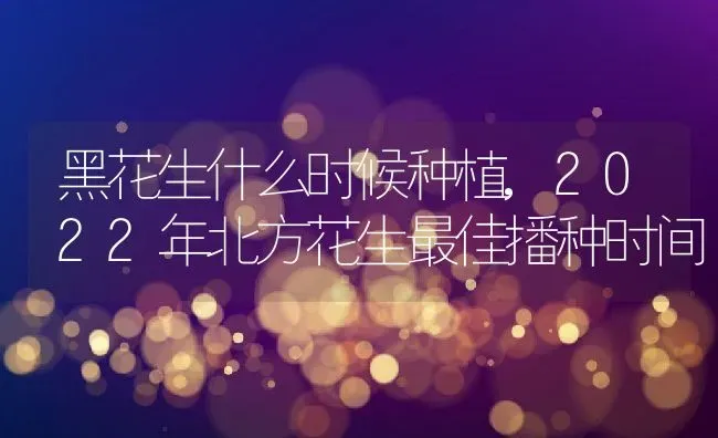 黑花生什么时候种植,2022年北方花生最佳播种时间 | 养殖学堂