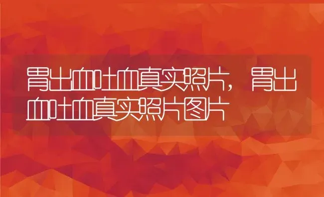 胃出血吐血真实照片,胃出血吐血真实照片图片 | 养殖资料