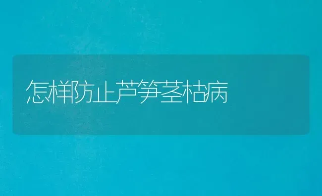 怎样防止芦笋茎枯病 | 养殖技术大全