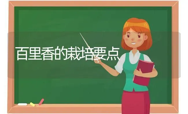 百里香的栽培要点 | 养殖技术大全