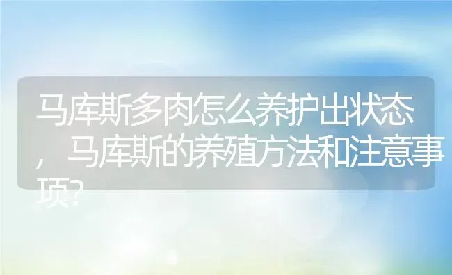 马库斯多肉怎么养护出状态,马库斯的养殖方法和注意事项？ | 养殖科普