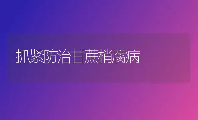 抓紧防治甘蔗梢腐病 | 养殖技术大全