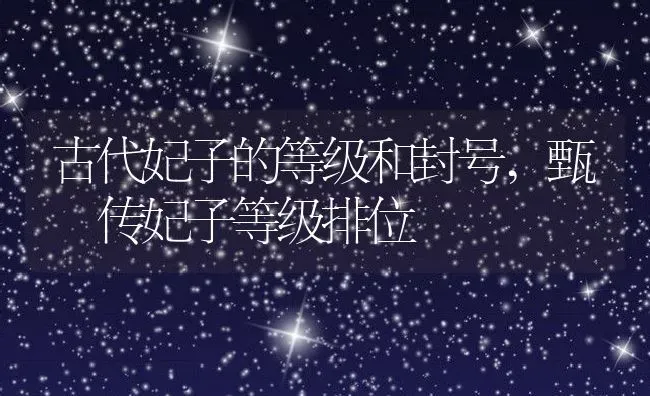 古代妃子的等级和封号,甄嬛传妃子等级排位 | 养殖学堂