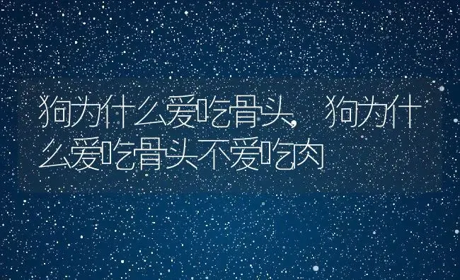 狗为什么爱吃骨头,狗为什么爱吃骨头不爱吃肉 | 养殖资料