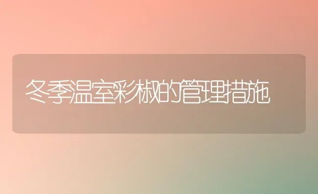 冬季温室彩椒的管理措施 | 养殖技术大全