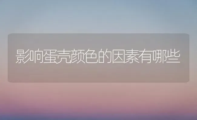 影响蛋壳颜色的因素有哪些 | 养殖技术大全