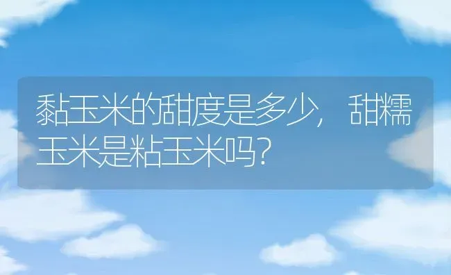 黏玉米的甜度是多少,甜糯玉米是粘玉米吗？ | 养殖科普