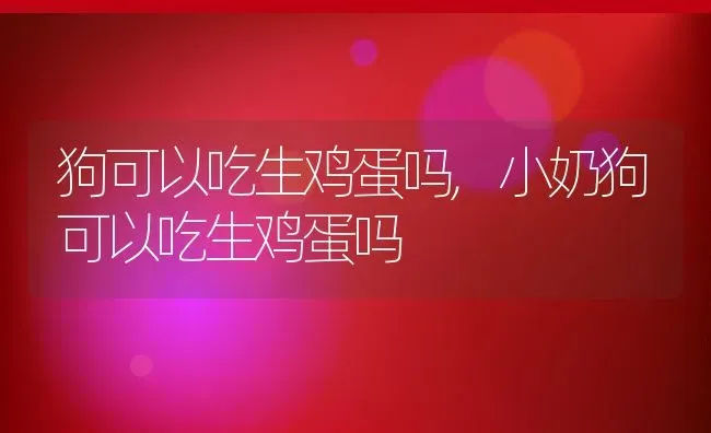 狗可以吃生鸡蛋吗,小奶狗可以吃生鸡蛋吗 | 养殖科普