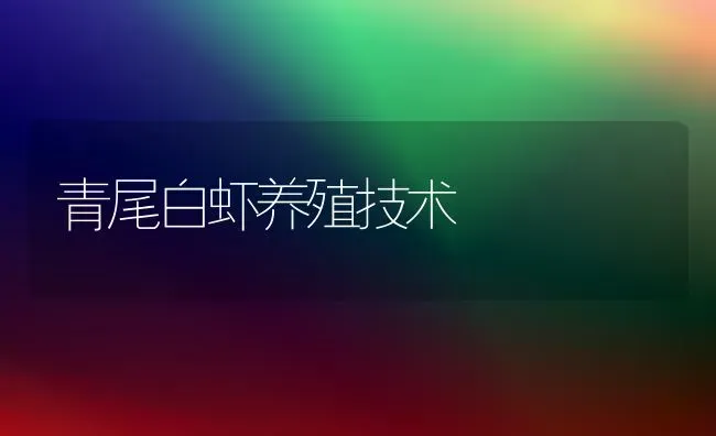 青尾白虾养殖技术 | 养殖技术大全