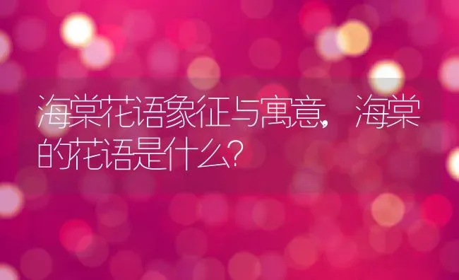 海棠花语象征与寓意,海棠的花语是什么？ | 养殖科普