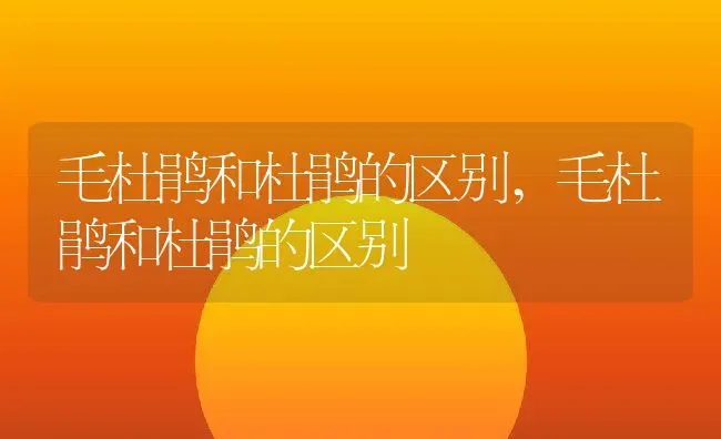 毛杜鹃和杜鹃的区别,毛杜鹃和杜鹃的区别 | 养殖科普