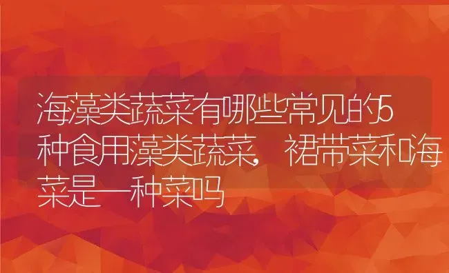 海藻类蔬菜有哪些常见的5种食用藻类蔬菜,裙带菜和海菜是一种菜吗 | 养殖学堂