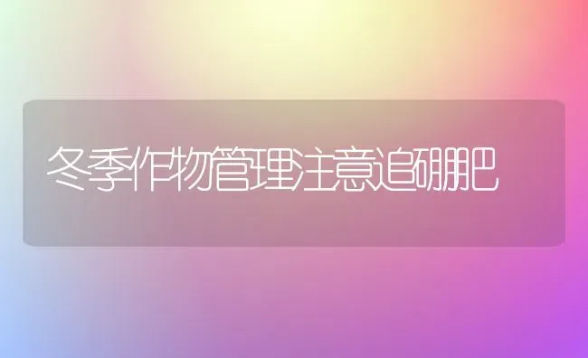 冬季作物管理注意追硼肥 | 养殖知识