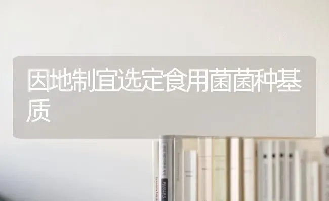 因地制宜选定食用菌菌种基质 | 养殖知识