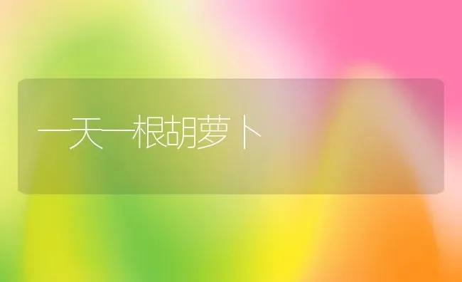 一天一根胡萝卜 | 养殖科普